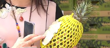 推動廈門高雄農漁產品采購協議落地 高雄特色農產陸續 登鷺